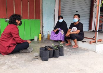 KKNT UNISRI Berikan Penyuluhan dan Pelatihan Budidaya Tanaman Hortikultura di Pekarangan Rumah