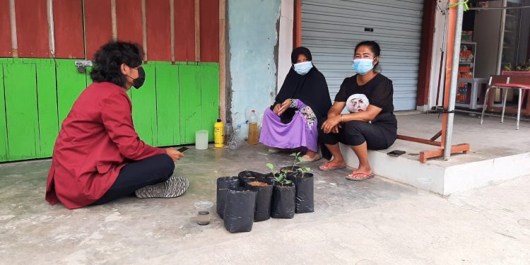 KKNT UNISRI Berikan Penyuluhan dan Pelatihan Budidaya Tanaman Hortikultura di Pekarangan Rumah