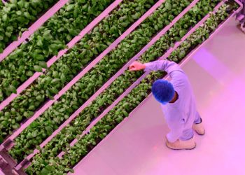 Inovasi Lingkungan dan Kesadaran Risiko Iklim: Peran Penting SDG13 dalam Strategi Perusahaan