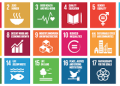Bagaimana Tujuan Pembangunan Berkelanjutan (SDGs) Mendorong Kewirausahaan dan Daya Saing Global?