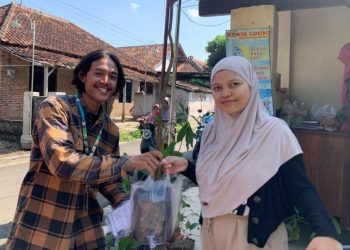 Mahasiswa KKN UIN Raden Mas Said Surakarta Bagikan Bibit untuk Bantu Wujudkan Program Ketahanan Pangan