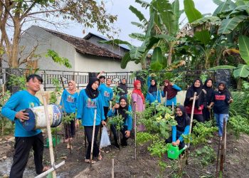 Program Lahan Sejuta Harapan Sebagai Langkah Penting Pencegahan Stunting