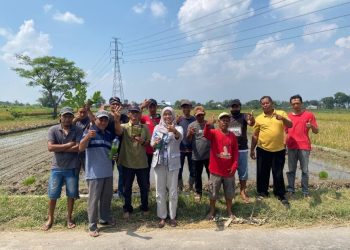 Gerakan Tanam Cerdas Sahabat Tani Lawan Penyakit; Dari Mahasiswa untuk Petani, demi Hasil Panen Lebih Baik